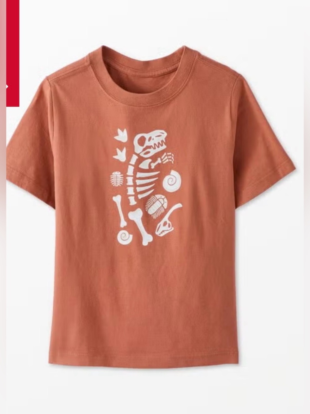 Hanna Andersson Relaxed Graphic Tee in Fossil Dig, size 2T